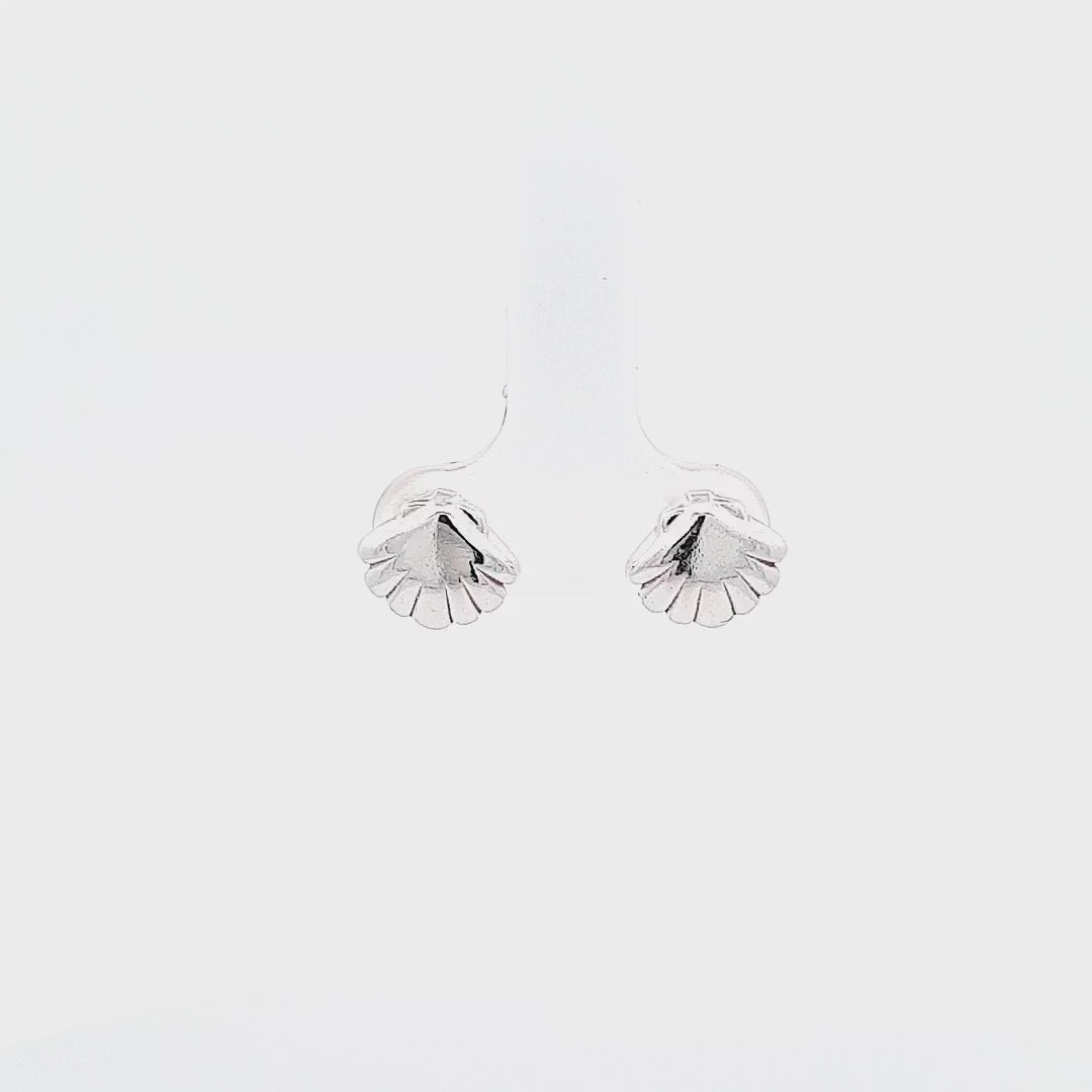 Video 360-degree of the Ocean Shell Stud Earrings in Sterling Silver by Magpie Gems in Ireland